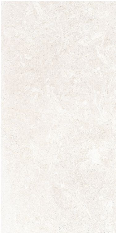 OL Limestone Bianco Matte 12 x 24